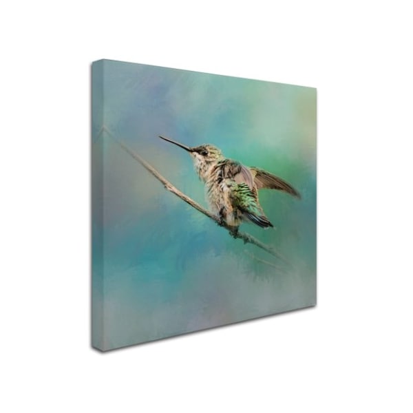 Jai Johnson 'Hummingbird On Mint' Canvas Art,35x35